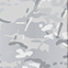 ALPINE MULTICAM