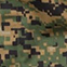 MARPAT